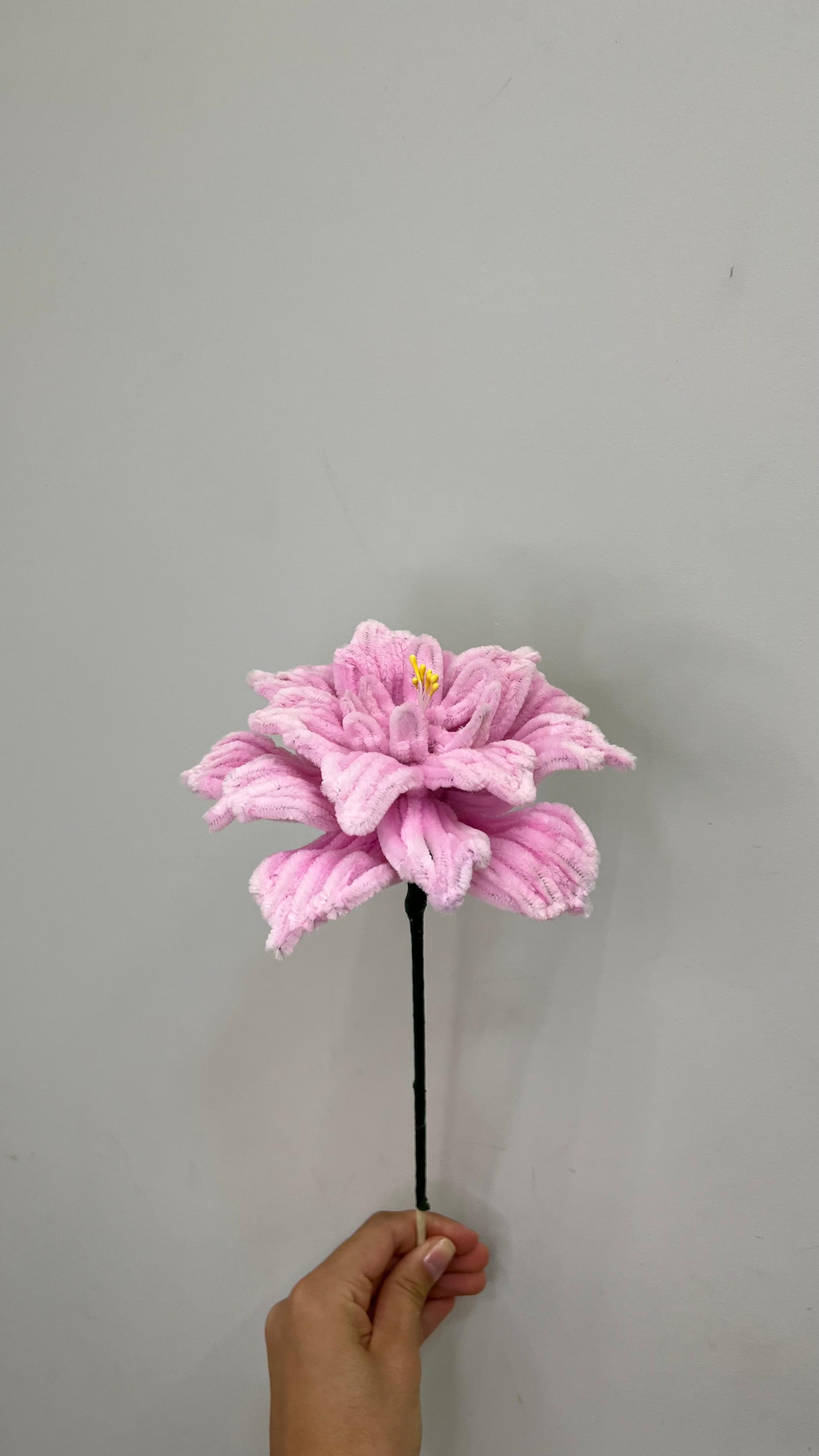 Peônia PipeFlorYou